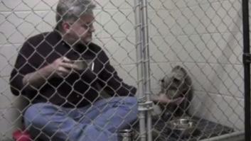 El gesto con el que este veterinario ha cautivado a millones de personas