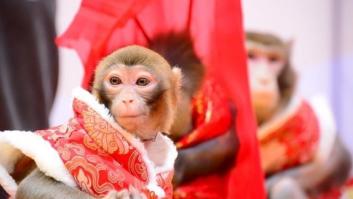 La China del Mono