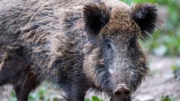 Cuando el fin no justifica los medios