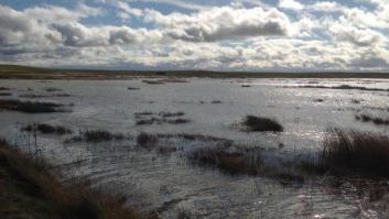 Si todo tiene un precio, ¿la naturaleza también?