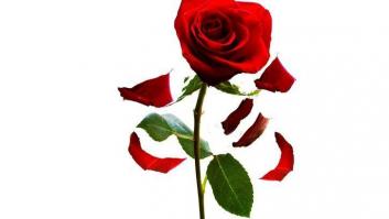 Socialistas europeos: estación 2019