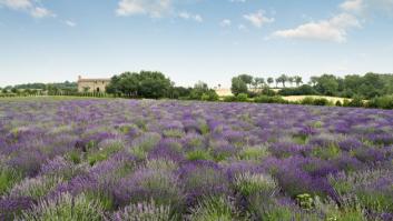 Si te dicen ven a Sansepolcro, ¿qué esperas encontrarte?