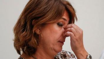 Delgado desveló que jueces y fiscales acabaron con menores en un viaje a Colombia