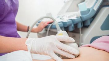 Feministas de 18 países se suman a la campaña por la prohibición de los vientres de alquiler