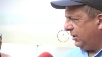 El presidente de Costa Rica se come una avispa en directo