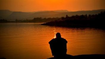 Inteligencia de establo