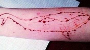 Investigan en Madrid el envío de correos a dos menores para participar en el reto suicida 'Ballena Azul'