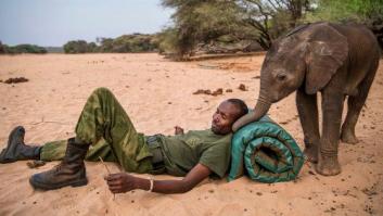 Las impresionantes fotos de las tribus de Kenia salvando a crías de elefante