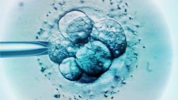 Una pareja robó el semen de su hijo fallecido para tener un heredero