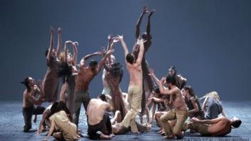 Bandadas de estorninos en el Teatro Real