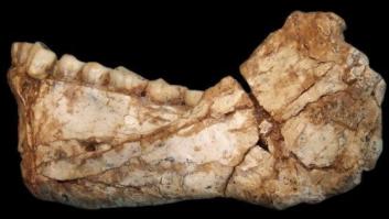 El homo sapiens es 100.000 años más viejo de lo que se pensaba