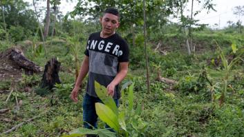 Cada semana asesinan a 4 ecologistas solo por nuestros caprichos