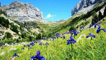Ocho rincones de Europa para disfrutar al 100% de la primavera