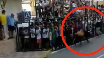 Muere un joven tras ser corneado en el encierro de Fernán Caballero (Ciudad Real)