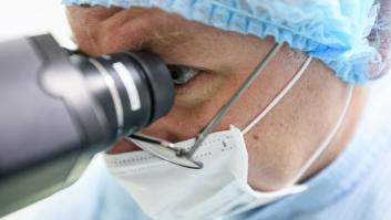 Un macroestudio identifica al virus de Epstein-Barr como principal causa de la esclerosis múltiple