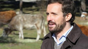 Desmontando a Casado: "A mí no me parece que la ganadería intensiva contamine"