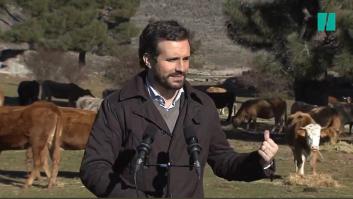 Pantomima Full se pasa Twitter con su reacción a esta foto: llevan más de 12.000 me gusta