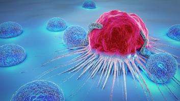 Descubren una vía para romper el 'círculo vicioso' por el que el cáncer se fortalece a sí mismo