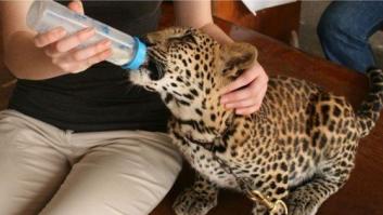 10 cosas que no debes hacer cuando viajes