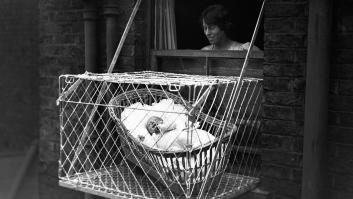 19 fotografías históricas y curiosas que quizás no conozcas