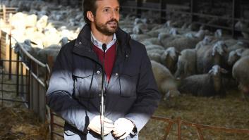 Anabel Alonso ve esta escena de Casado, se fija en un detalle y triunfa al ponerlo en Twitter
