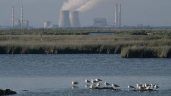 ¿Quiénes amenazan la especie humana?