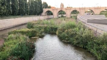Definitivo: El 7 de agosto se abre la presa y el Manzanares correrá libre y natural