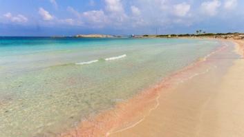 Este proyecto quiere recuperar la riqueza ambiental de Formentera