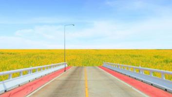 Quisiera ser vuestro perro: carta abierta a nuestros parlamentarios