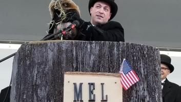 La marmota Milltown Mel muere horas antes del 'Día de la Marmota'