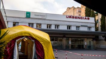 Andalucía detecta los primeros casos de la subvariante sigilosa de ómicron