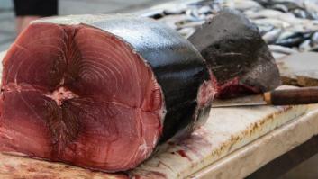 Lo que tienes que saber sobre la alerta por atún en mal estado