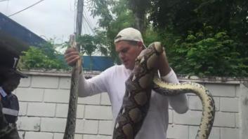 Frank Cuesta, mordido por una pitón que se acababa de comer un gato