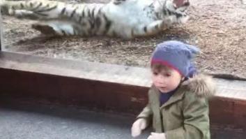 Nunca, nunca, NUNCA despiertes a un tigre dormido