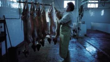 "Negro, te mandaré a África a pasar hambre"