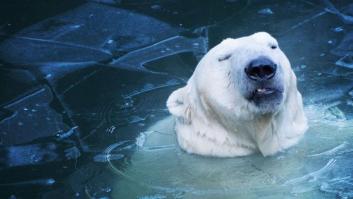 Un estudio vincula el aumento de suicidios con el cambio climático