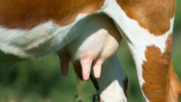 Esto pasó en 2016 a varios políticos que bebieron leche cruda para celebrar la ley que regulaba su consumo