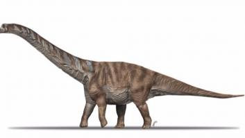Descubren una nueva especie de dinosaurio que vivió en el Pirineo catalán hace 70 millones de años