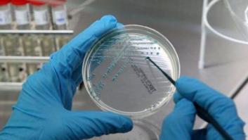 El ADN acredita que el marido de la Duquesa Roja es el padre de la hija de la sirvienta