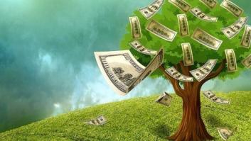 El Capitalismo Consciente también es rentable