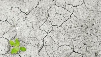 Día de la Tierra: Es el cambio climático, estúpido