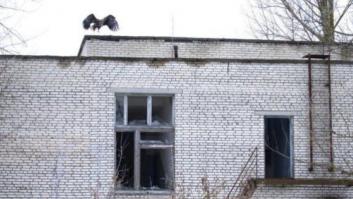 30 años después del desastre de Chernóbil, los dueños de la tierra son los animales