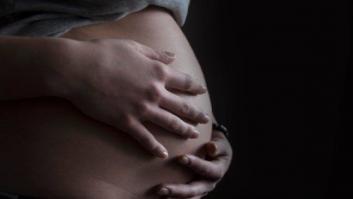 Nace la Red Estatal contra el Alquiler de Vientres: "Las mujeres no son ganado"