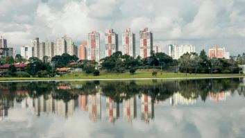 Abejas, ardillas, algas, carpas y gorriones