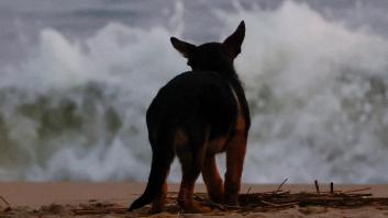 Una ley de sentido común