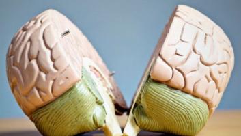 Cómo votar y no morir en el intento