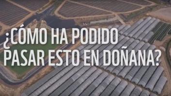 Fresa o muerte, la amenaza del 'lobby' que atenaza Doñana