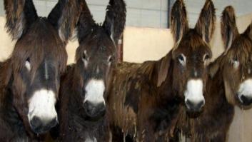 Un exdirector del británico 'The Sun' insulta a los españoles llamándoles "follaburros" y bebidos