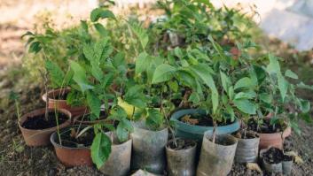 El futuro del medioambiente, en manos de la economía circular