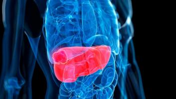 Investigadores del CNIO descubren un vínculo entre el colesterol, la inflamación y el cáncer de hígado